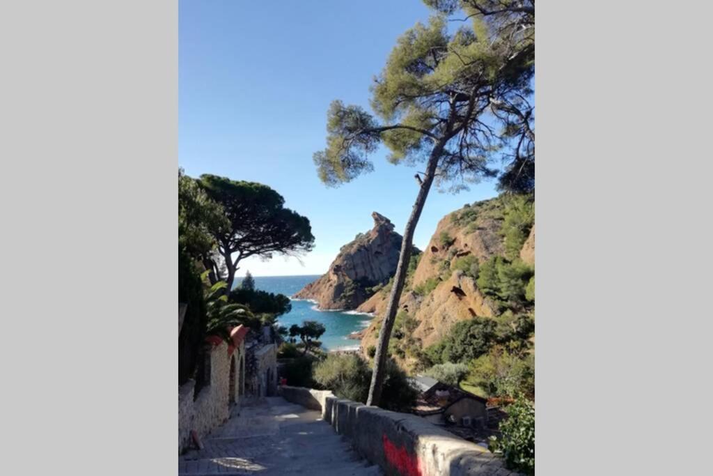 Le Repaire De La Cadiere A 5Mn Des Plages ! Сен Сир сюр Мер Екстериор снимка